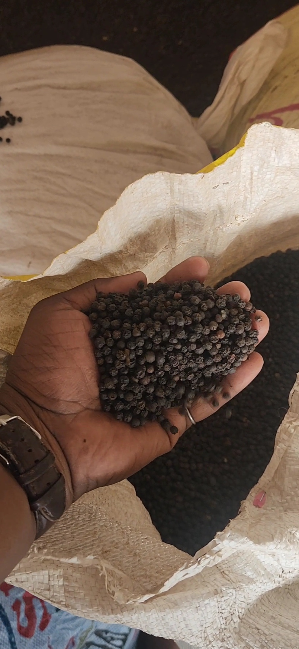 Idukki black pepper